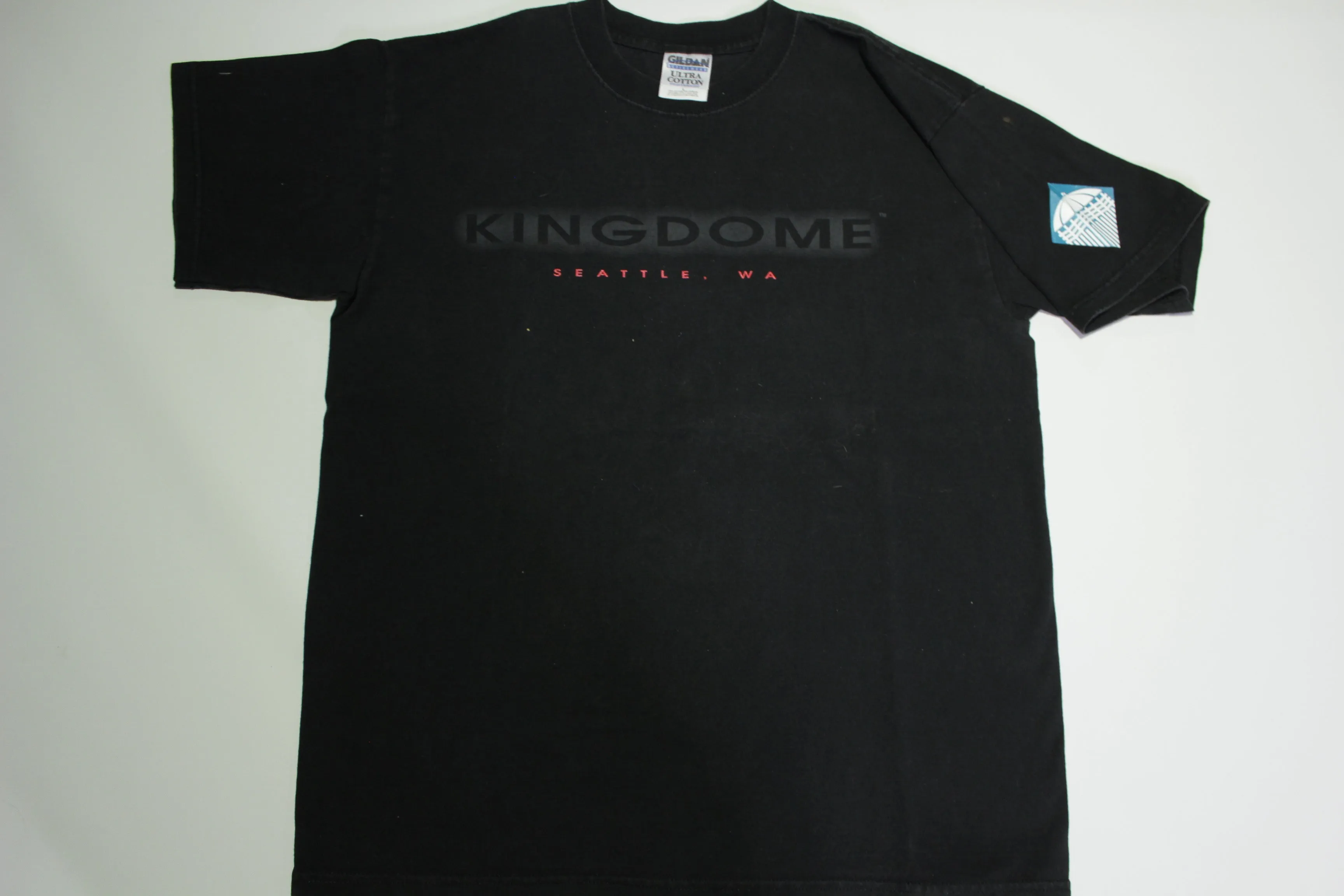 Kingdome Seattle WA Vintage 90's Gildan Ultra Cotton Tourist T-Shirt