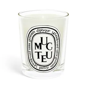 Muguet Diptyque Vela perfumada