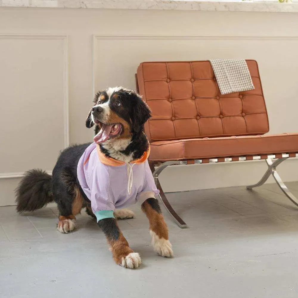 Reflective Dog Hoodie