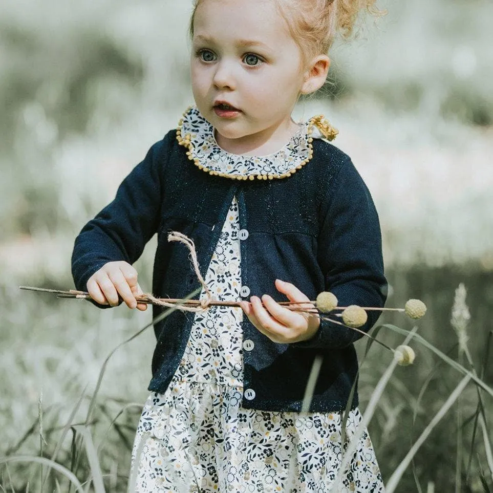 Tilly Collared Dress