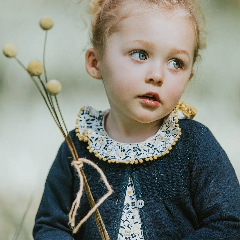 Tilly Collared Dress